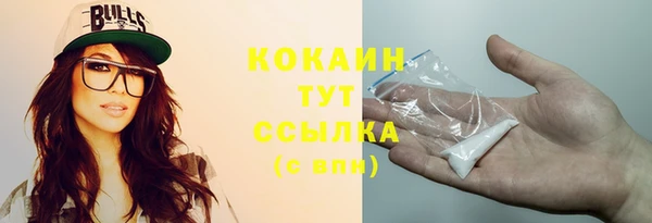 mix Богородицк