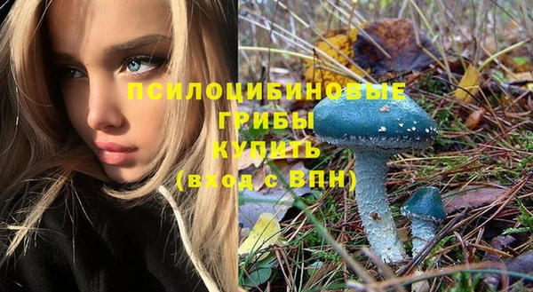 первитин Беломорск